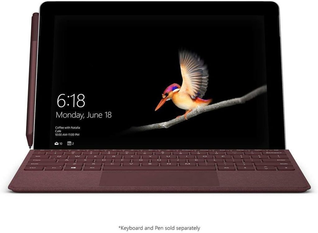 Microsoft Surface Go (Intel Pentium Gold, 4GB RAM, 64GB)